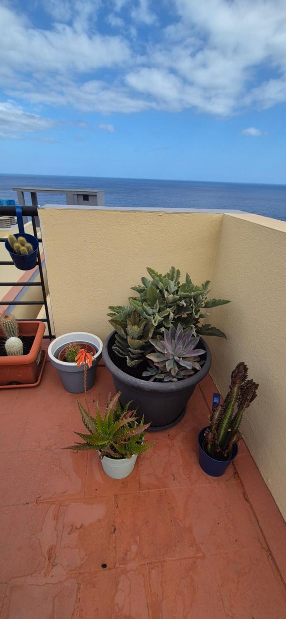 Meerblick Caletillas Candelaria Zewnętrze zdjęcie
